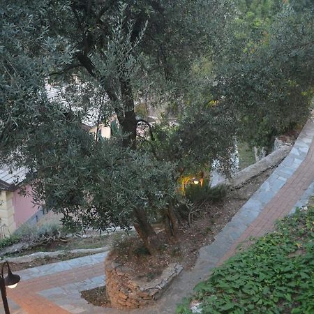 Villa Olivari - Apt La Salvia San Rocco  Eksteriør bilde