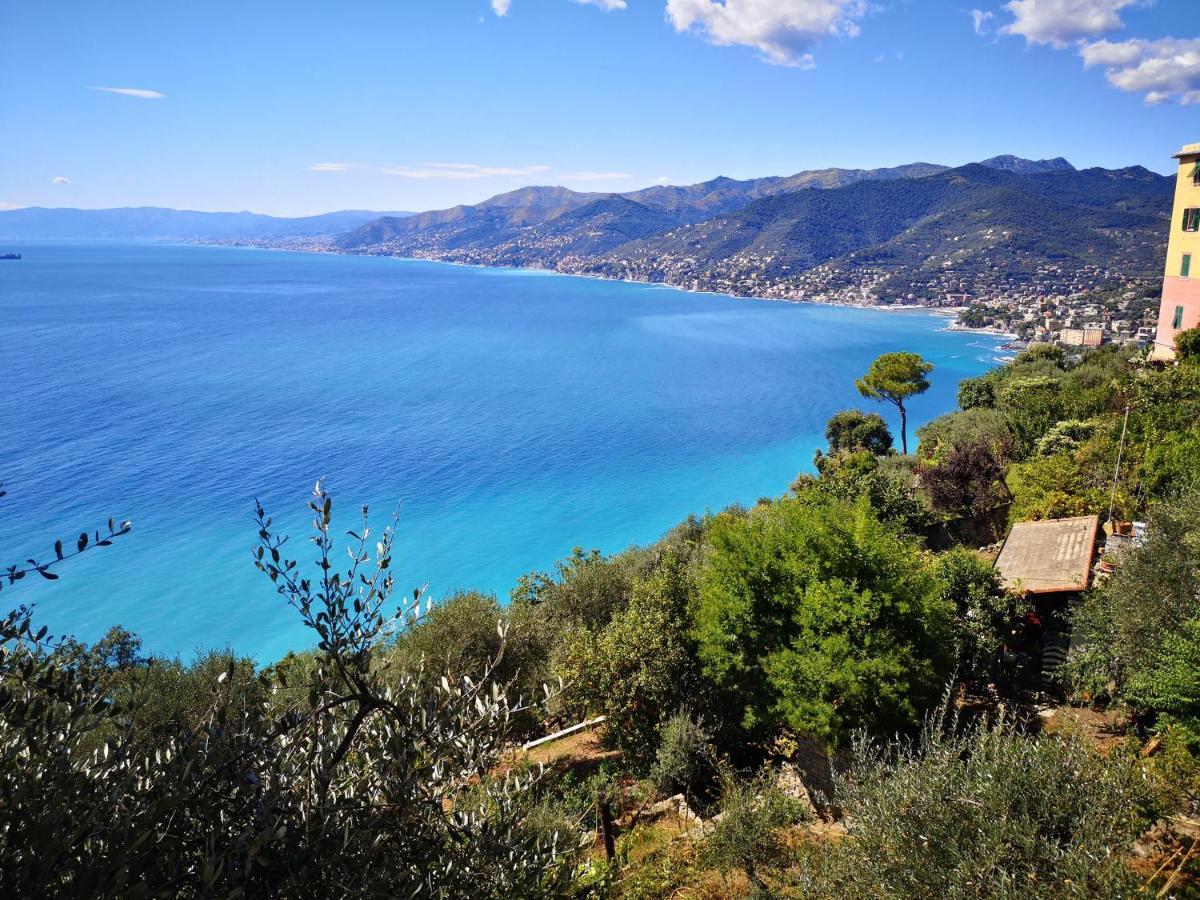 Villa Olivari - Apt La Salvia San Rocco  Eksteriør bilde