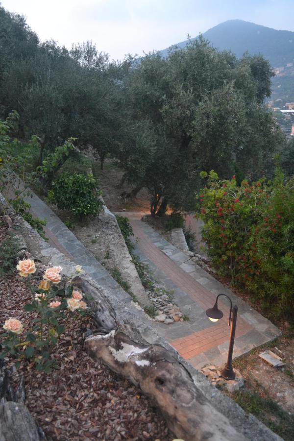 Villa Olivari - Apt La Salvia San Rocco  Eksteriør bilde